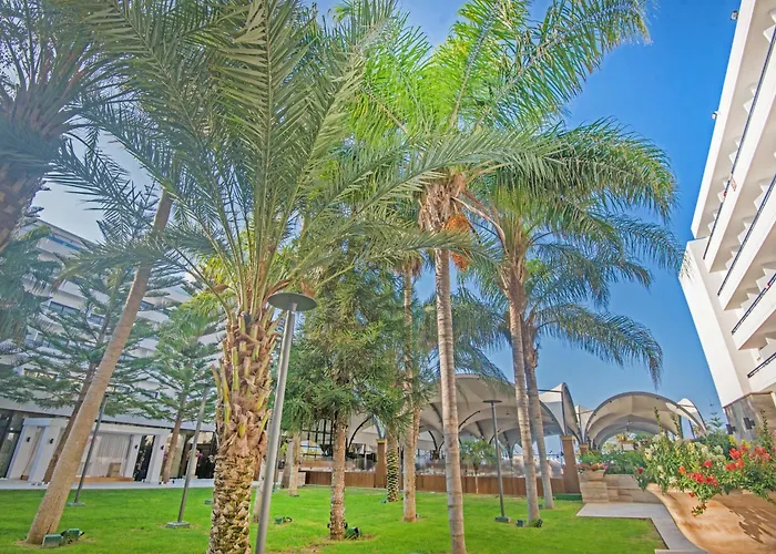 Adams & (adults Only) 5*