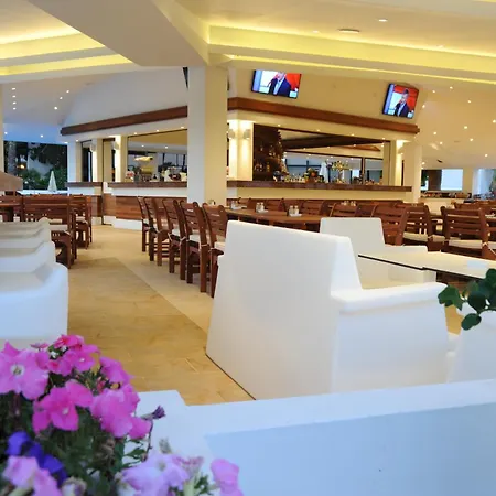 Adams & (adults Only)