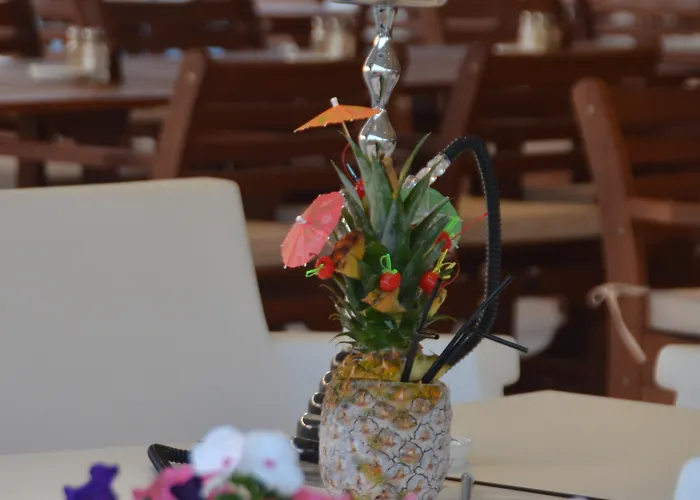 Adams & (adults Only) Hotell 5*