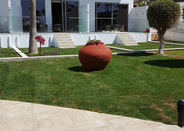 Adams & (adults Only) Hotell